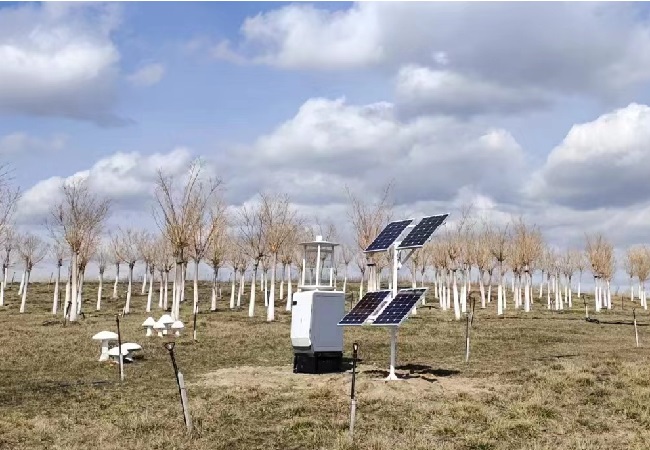 1686102913212720.jpg 蟲情測報燈 (1).jpg