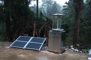 自動蟲情測報(bào)燈